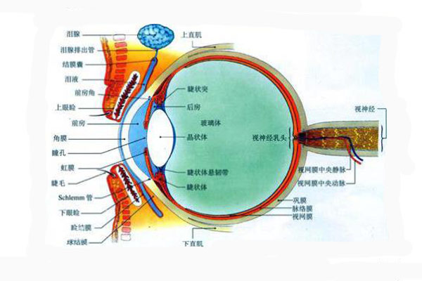 顏色是怎么被人眼感知的？顏色怎么表示與復(fù)現(xiàn)？